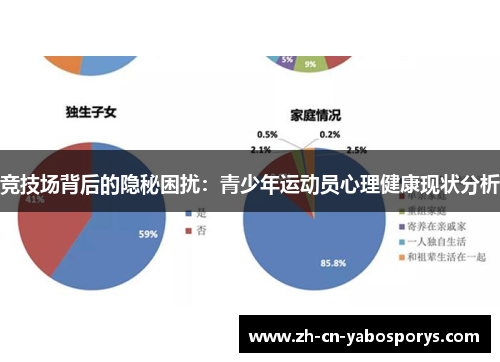 竞技场背后的隐秘困扰：青少年运动员心理健康现状分析